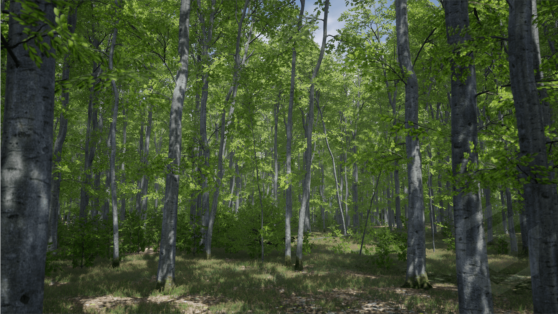 4K桦树灌木行道树树木植物游戏模型 虚幻4 ue4 Trees Beech tree