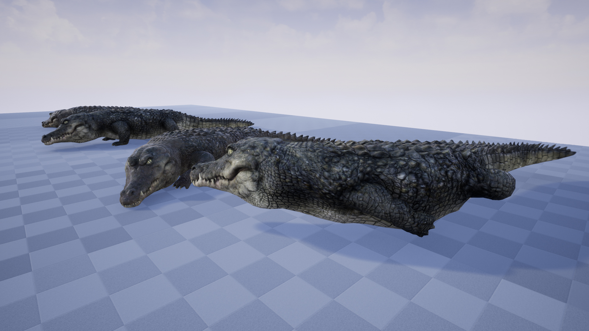 4K鳄鱼爬行两栖淡水动物生物游戏角色含动画 虚幻4 ue4 CROCODILE插图3