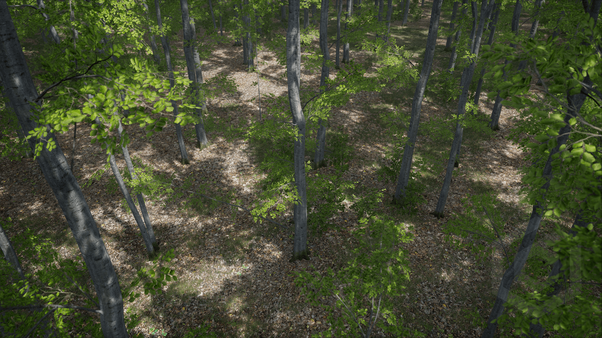 4K桦树灌木行道树树木植物游戏模型 虚幻4 ue4 Trees Beech tree插图2