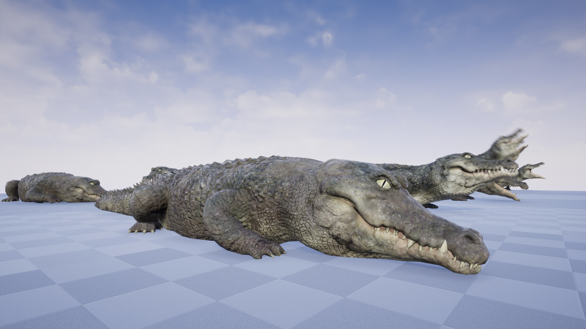 4K鳄鱼爬行两栖淡水动物生物游戏角色含动画 虚幻4 ue4 CROCODILE插图1