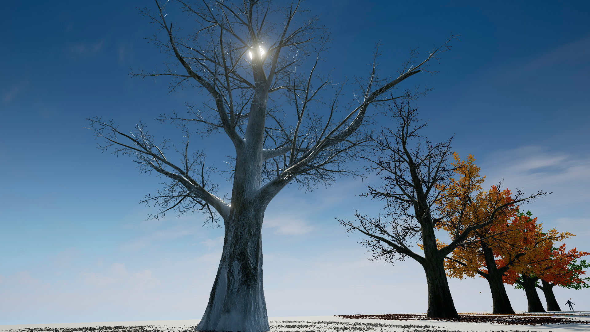 4K树木四季春夏秋冬落叶模型 虚幻4 ue4 Season’s Trees Vol 1插图2