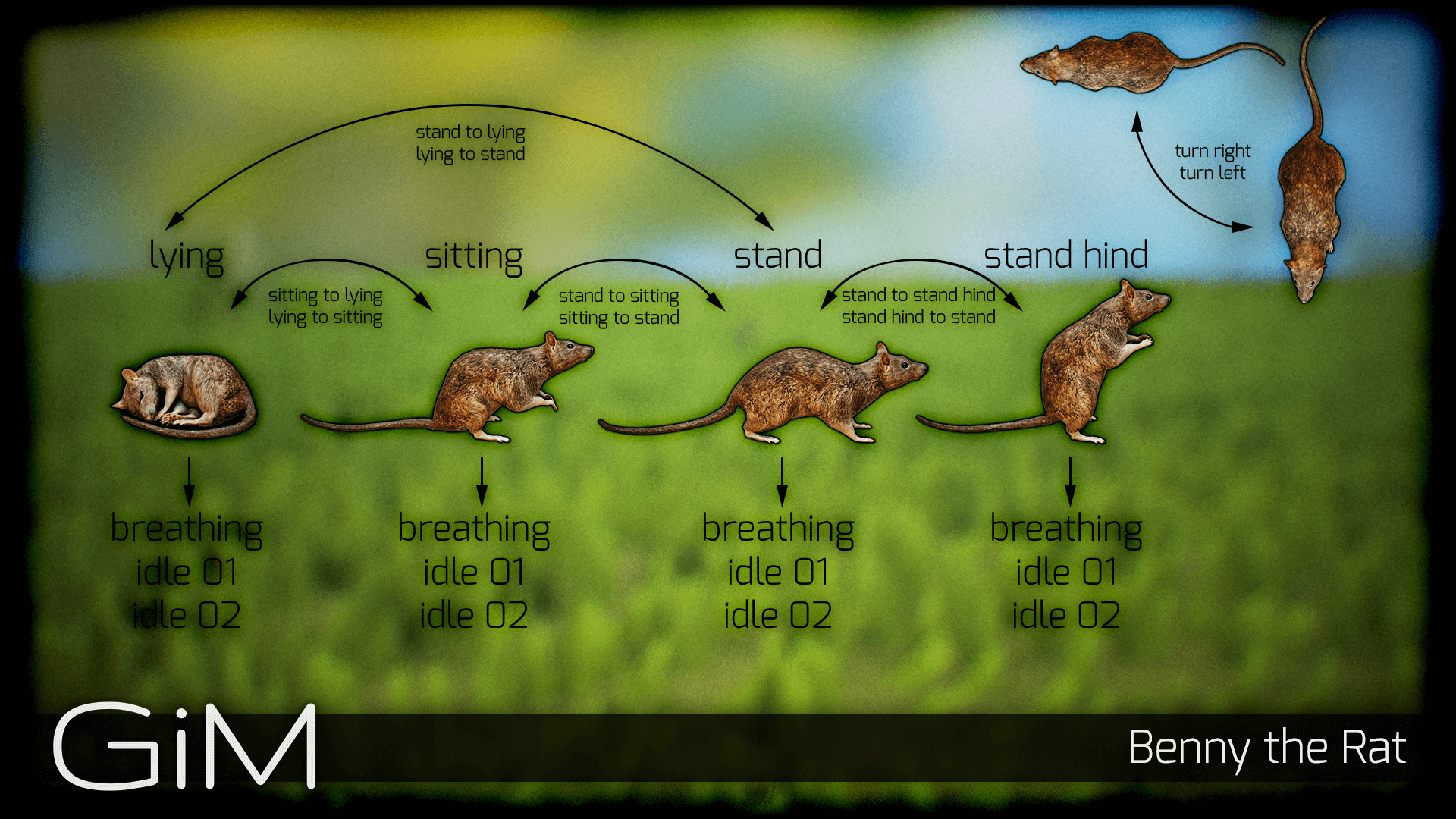 Animals Rat 虚幻4 UE4 野生 老鼠 动物 角色 动作插图1