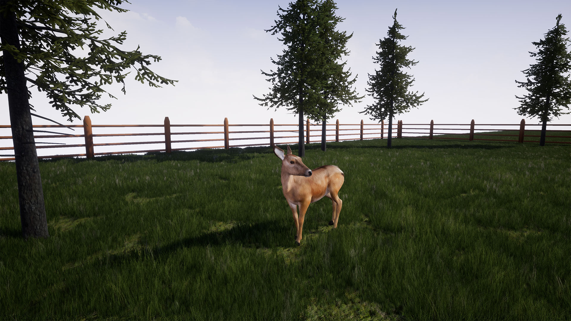 动物 习性 行为 栖息 蓝图 虚幻4 UE4 Animal Behavior Kit Pro插图1