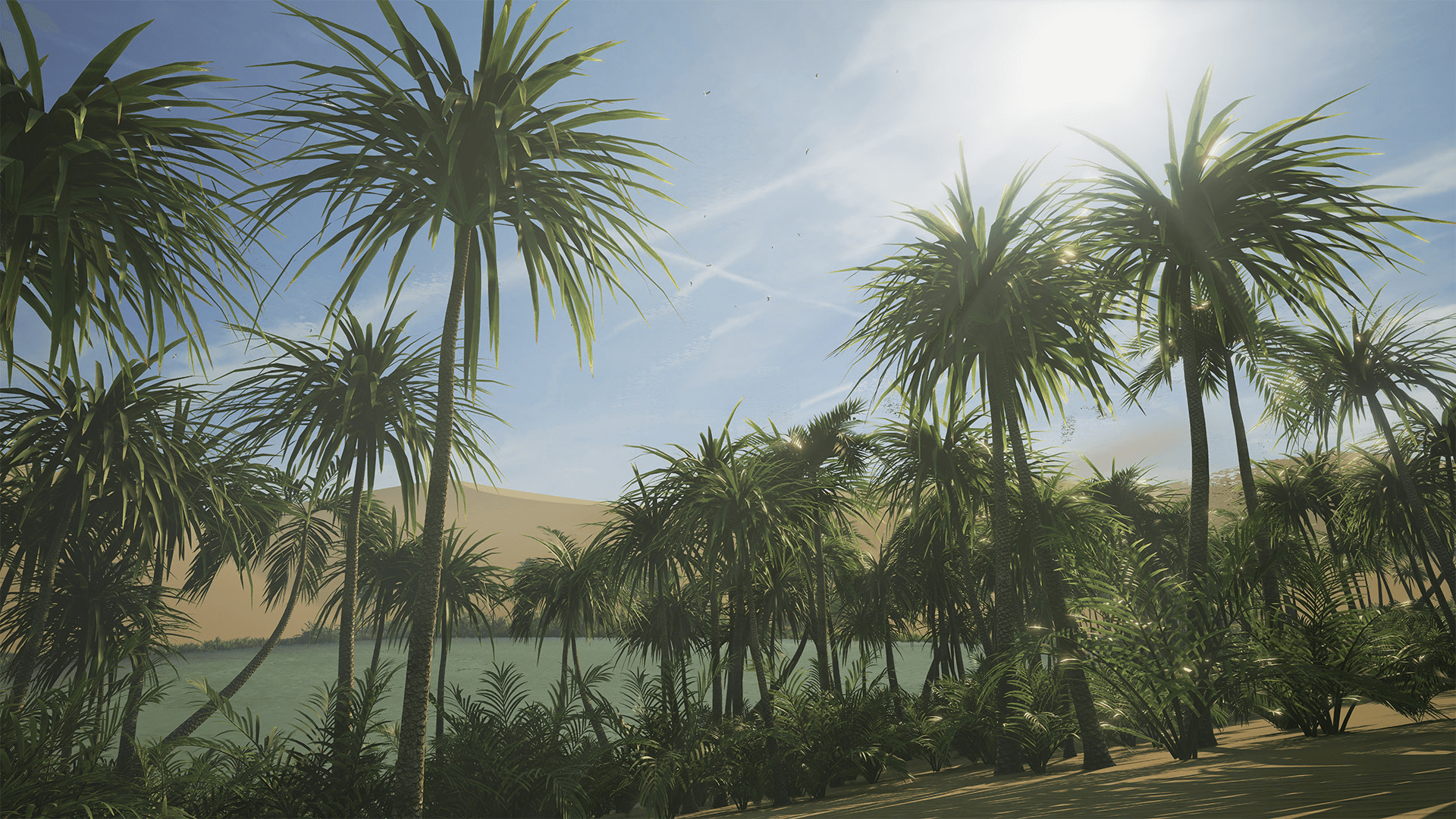 Desert Oasis 虚幻4 UE4 沙漠 绿洲 椰子树 太阳 蕨类 场景插图2