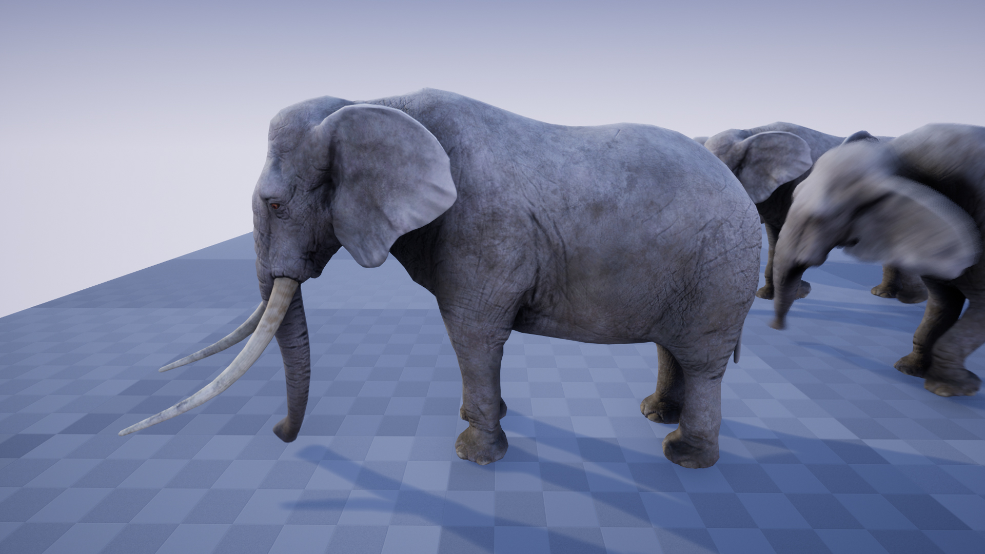 ELEPHANT 虚幻4 UE4 大象 角色 动作插图1