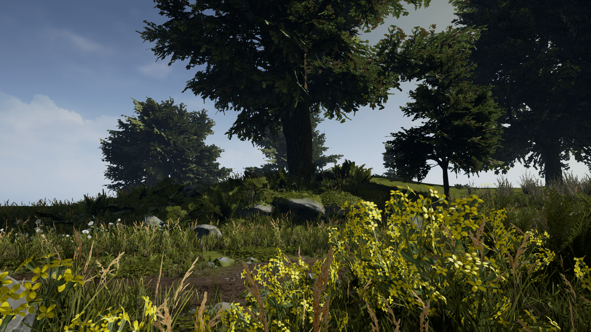 森林 山路 草地 植被 环境 场景 虚幻4 UE4 Forest Gnoll Set插图3