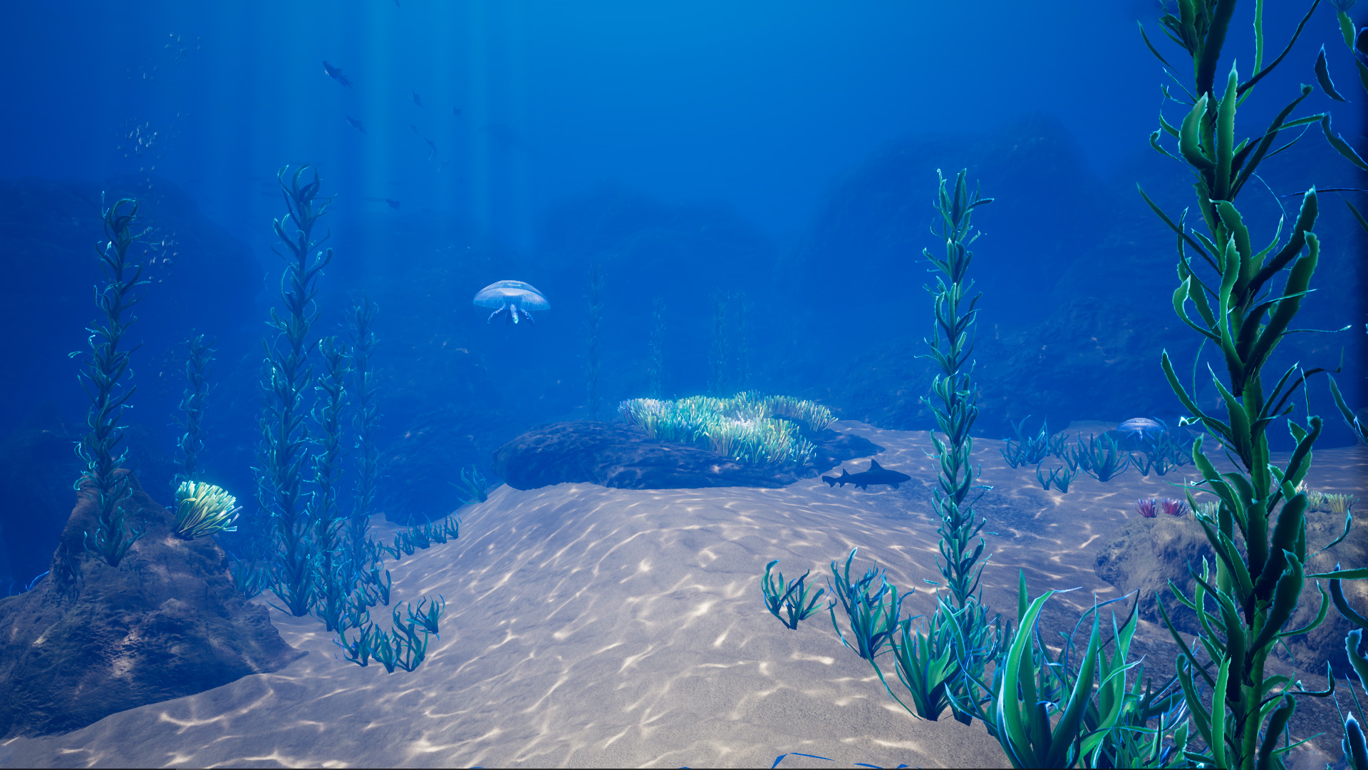 Ocean Environment Pack 虚幻4 UE4 海底 珊瑚 鱼群 水草 场景插图2