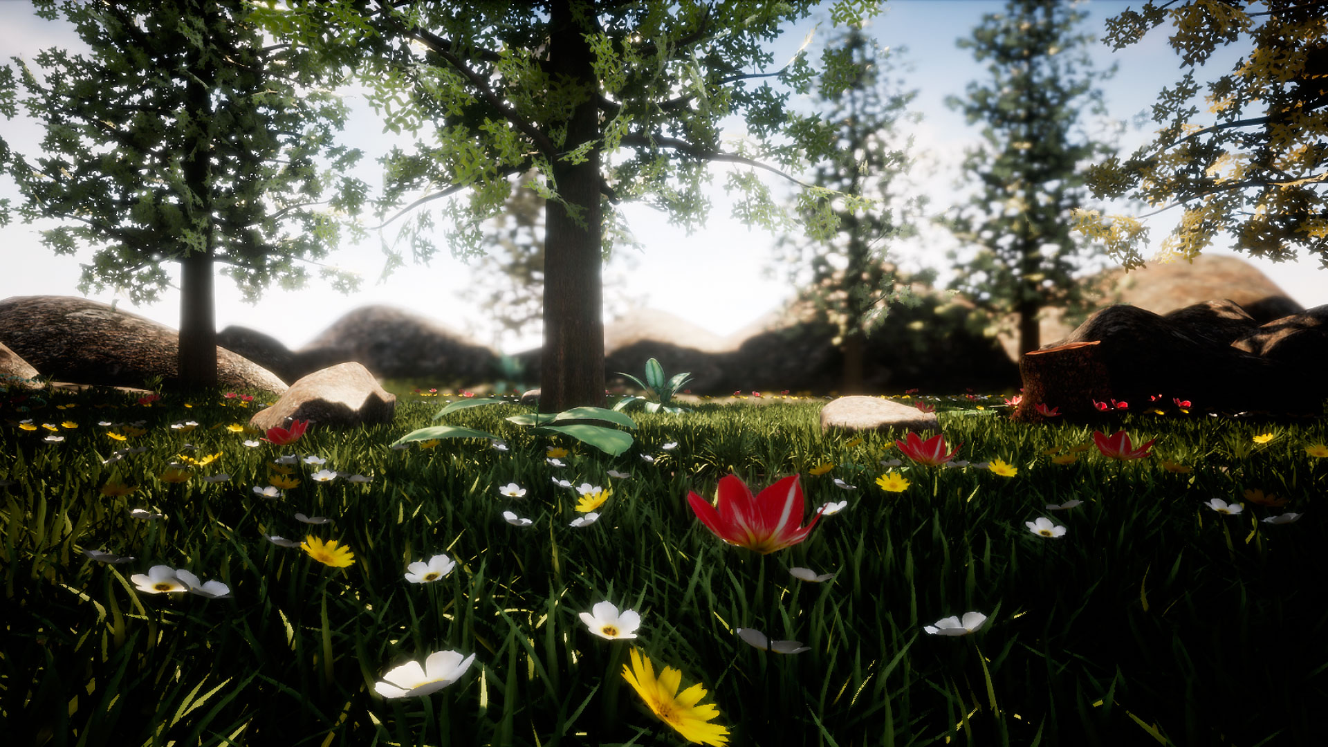 植物 花朵 地形 场景 虚幻4 UE4 Forest pack Easy landscape with plants and flowers