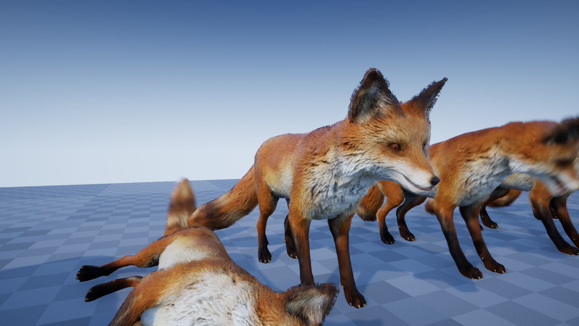Forest Animals Pack 虚幻4 UE4 森林 动物 动作包 鹿 狐狸 兔子插图1
