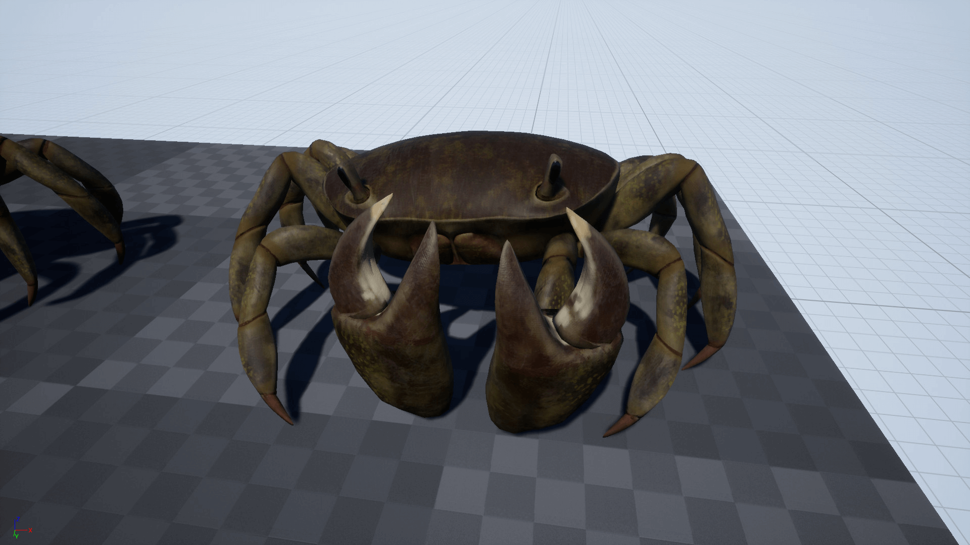 Crab – Animated Creature 虚幻4 UE4 螃蟹 大闸蟹 角色 动作插图1