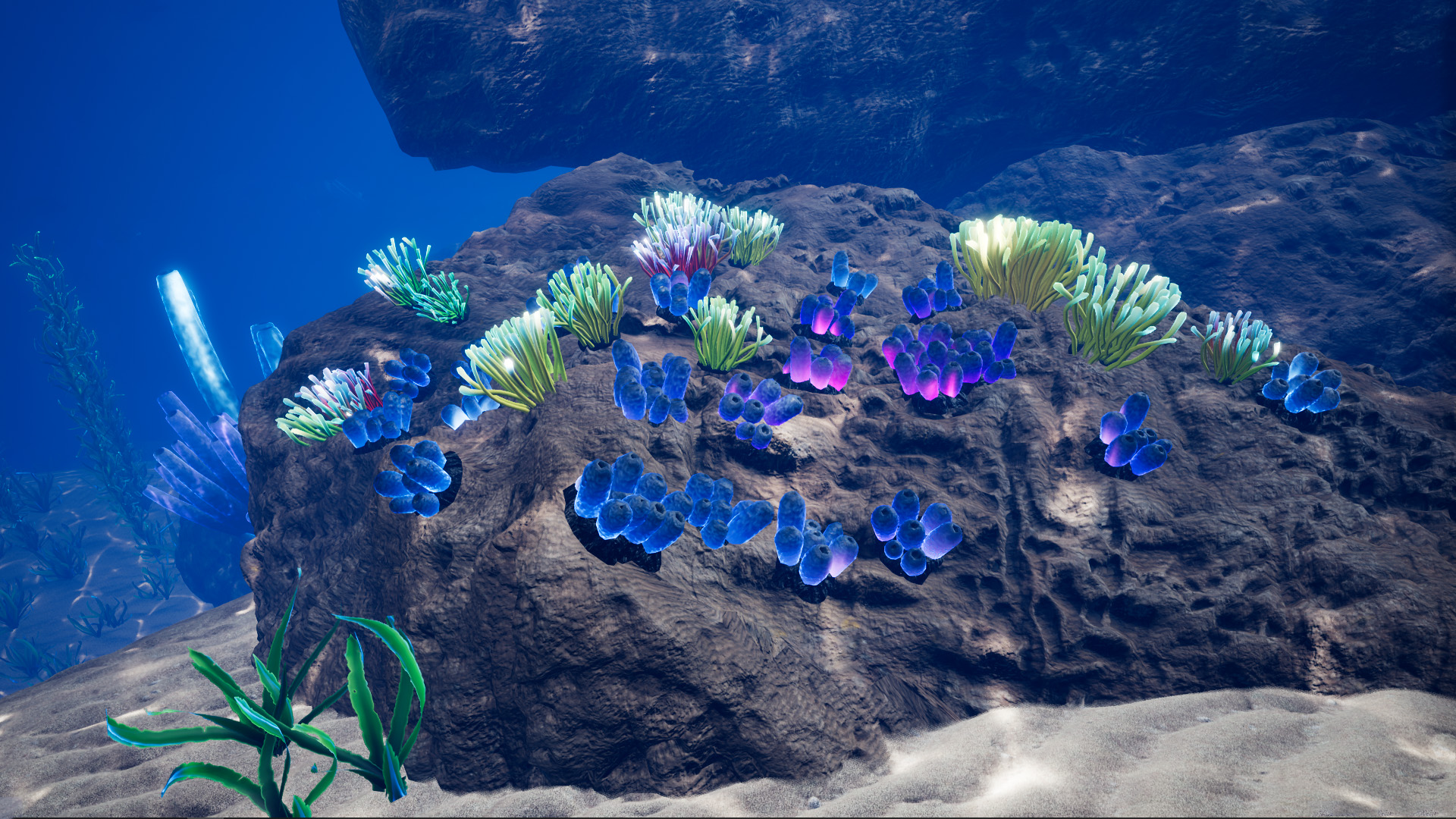 Ocean Environment Pack 虚幻4 UE4 海底 珊瑚 鱼群 水草 场景插图3