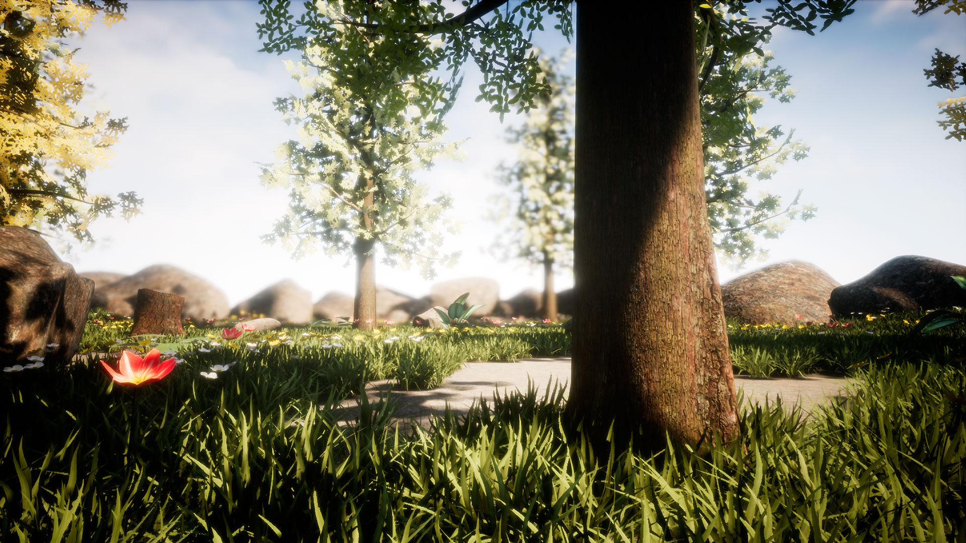 植物 花朵 地形 场景 虚幻4 UE4 Forest pack Easy landscape with plants and flowers插图2