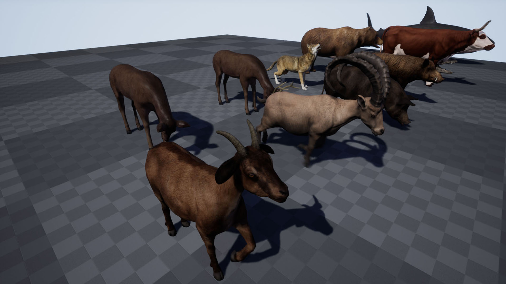 Animal Pack Ultra 虚幻4 UE4 家畜 鱼类 动画 集合 素材包插图3