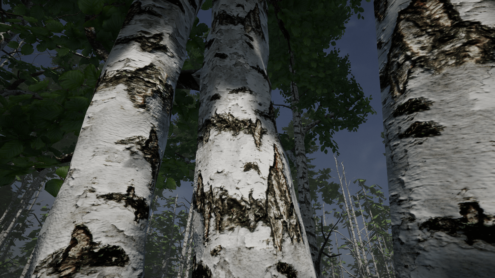 桦木森林自然环境游戏场景 虚幻4 ue4 Birch Set插图3