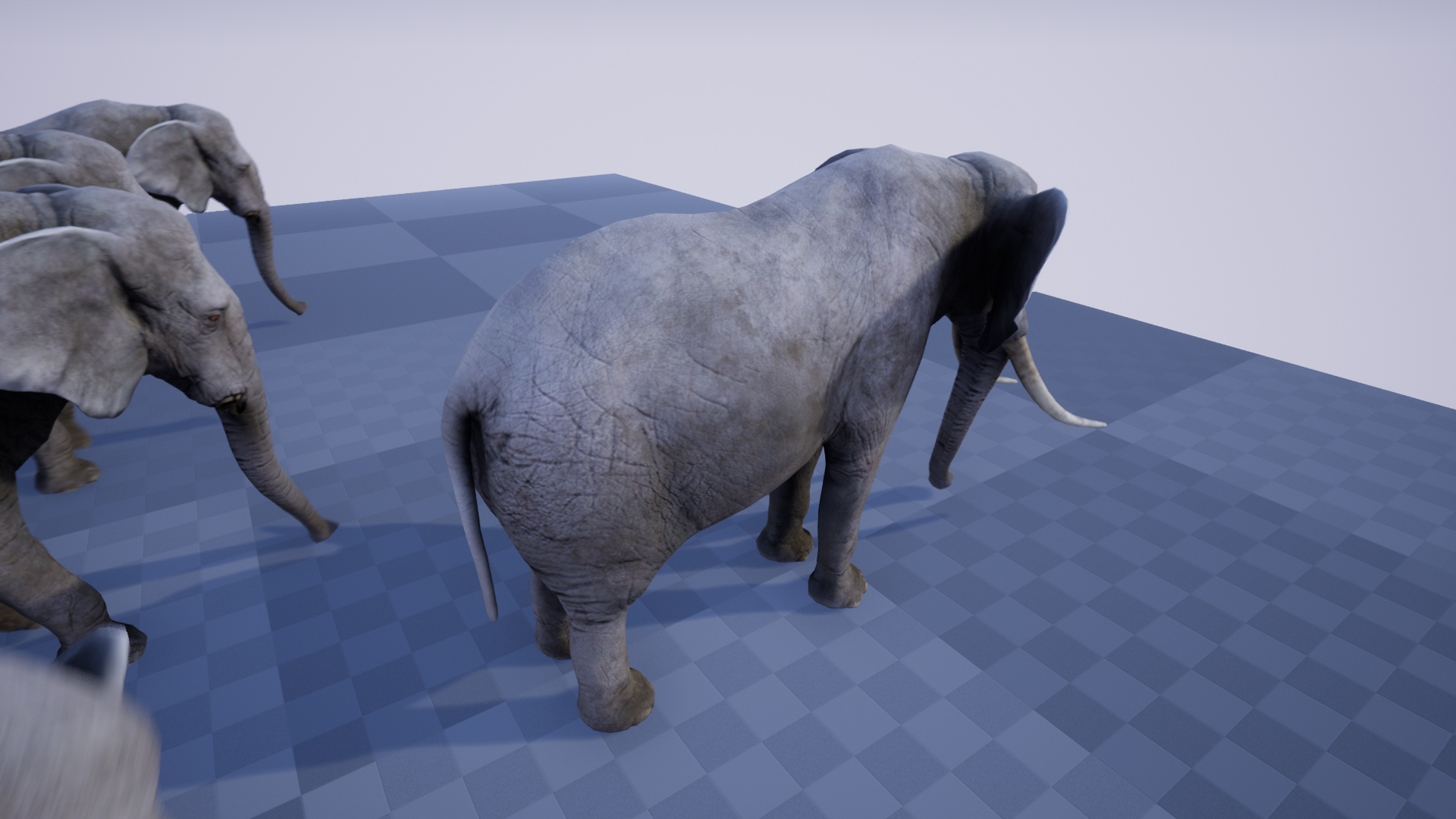 ELEPHANT 虚幻4 UE4 大象 角色 动作插图2