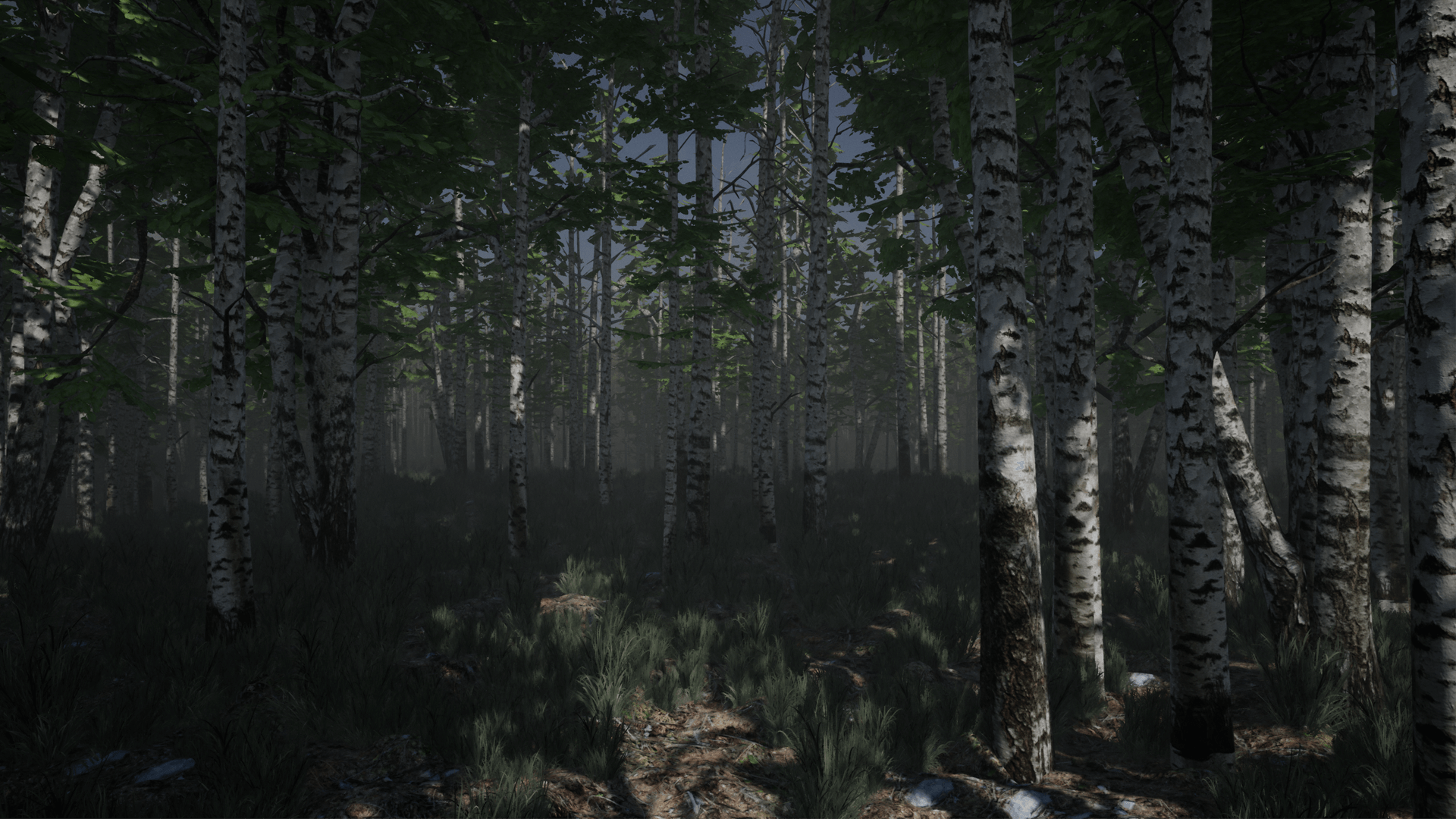 桦木森林自然环境游戏场景 虚幻4 ue4 Birch Set