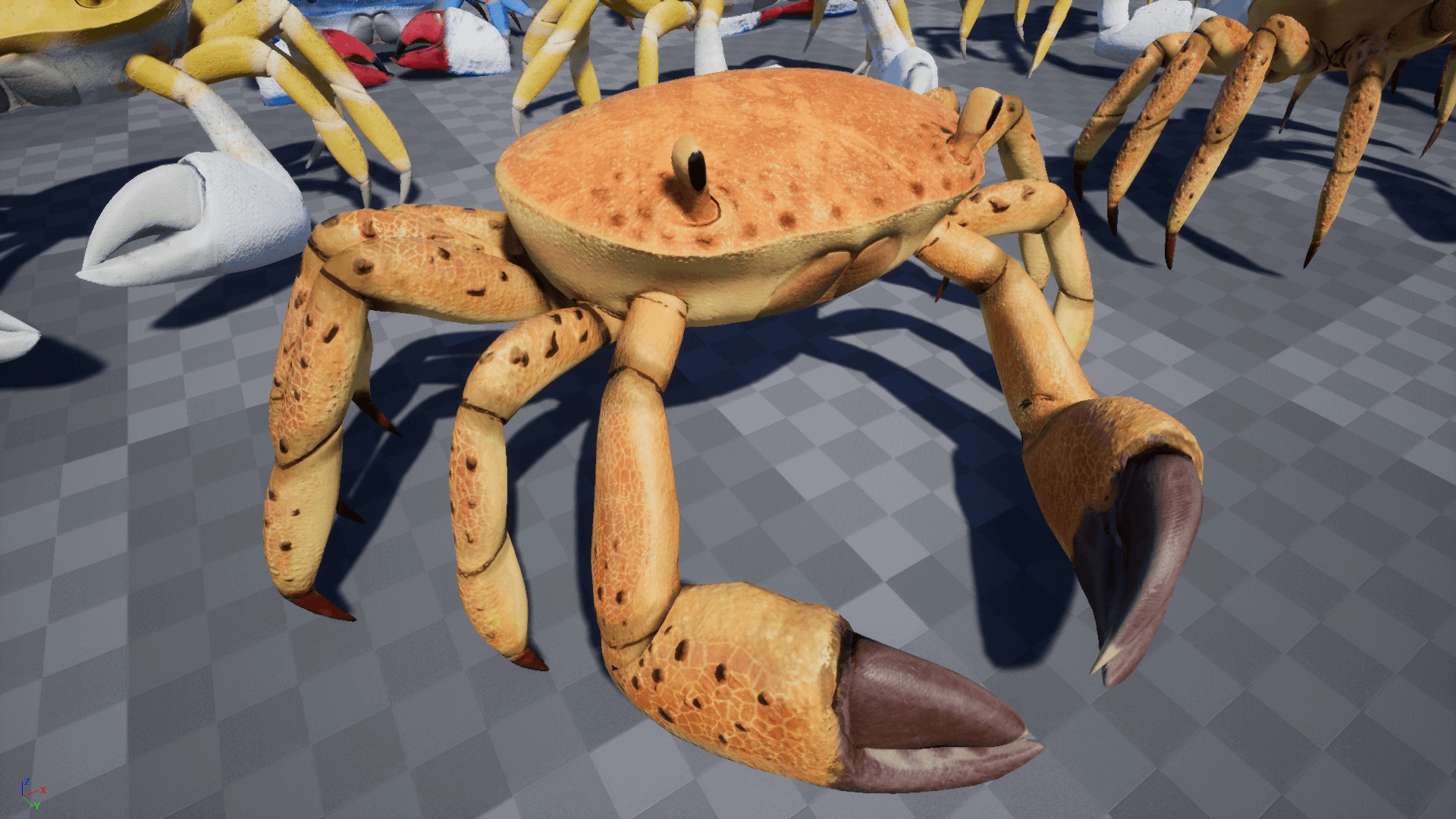 Crab - Animated Creature 虚幻4 UE4 螃蟹 大闸蟹 角色 动作