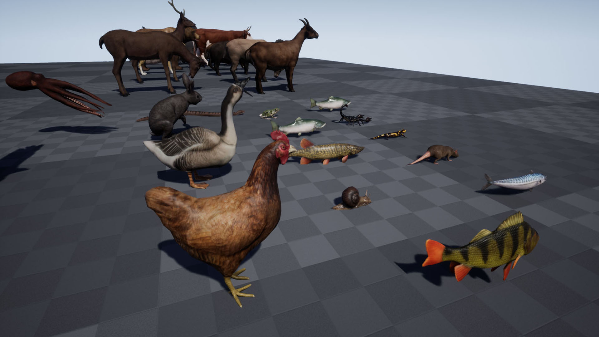 Animal Pack Ultra 虚幻4 UE4 家畜 鱼类 动画 集合 素材包