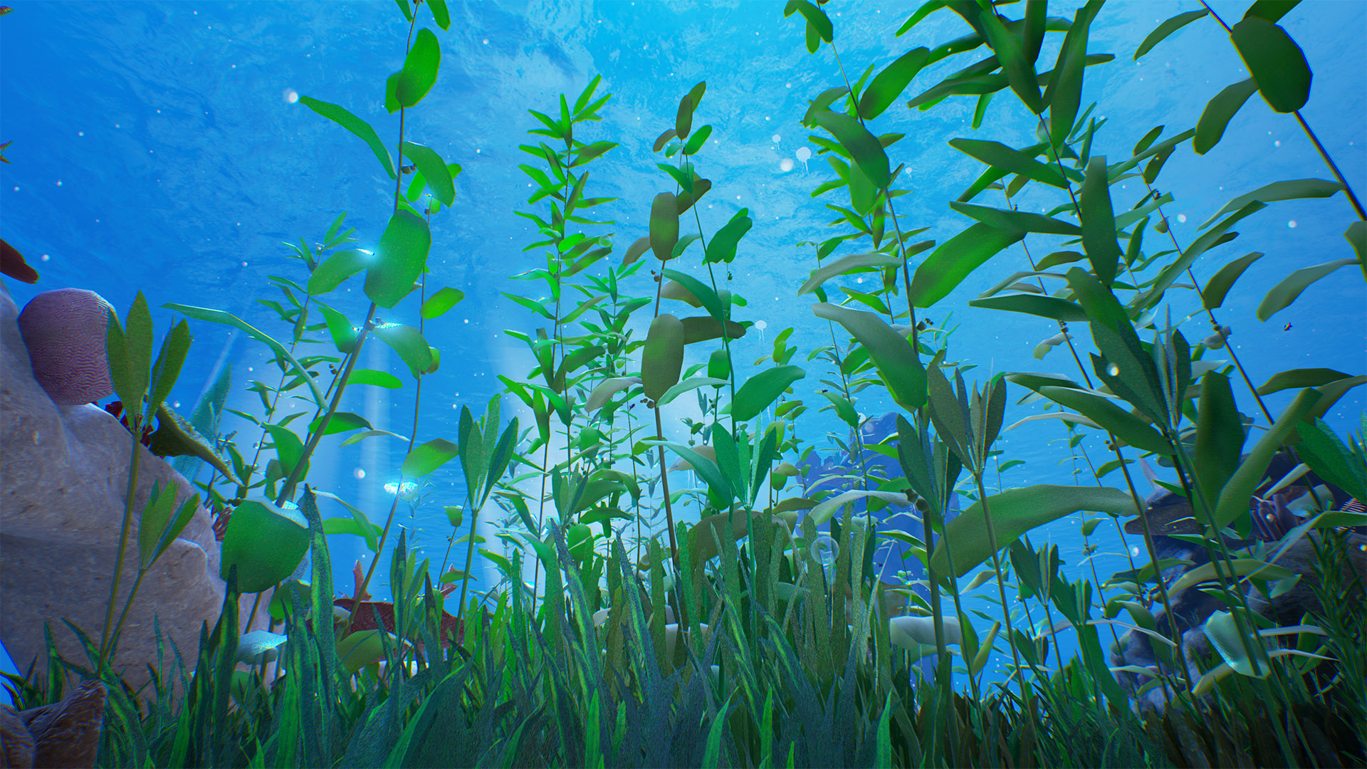 海底 植物 暗礁 环境 场景 虚幻4 UE4 Reef Kit