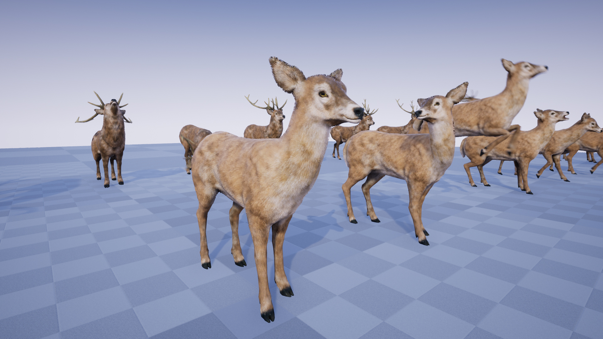 Forest Animals Pack 虚幻4 UE4 森林 动物 动作包 鹿 狐狸 兔子