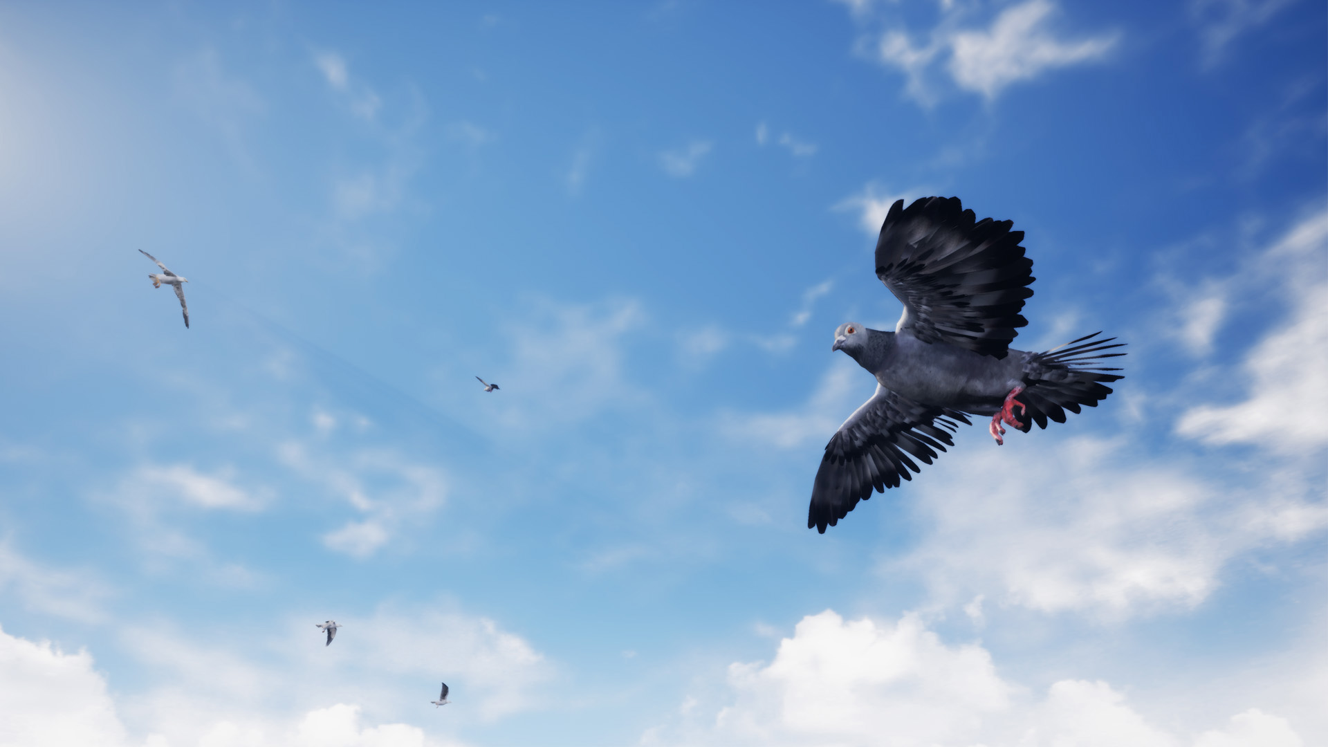 鸟类鸟群飞行驱逐停息游戏模拟蓝图项目 虚幻4 UE4 Birds 426