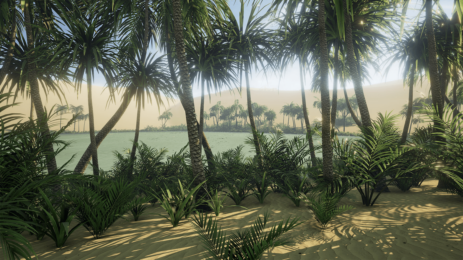 Desert Oasis 虚幻4 UE4 沙漠 绿洲 椰子树 太阳 蕨类 场景插图3