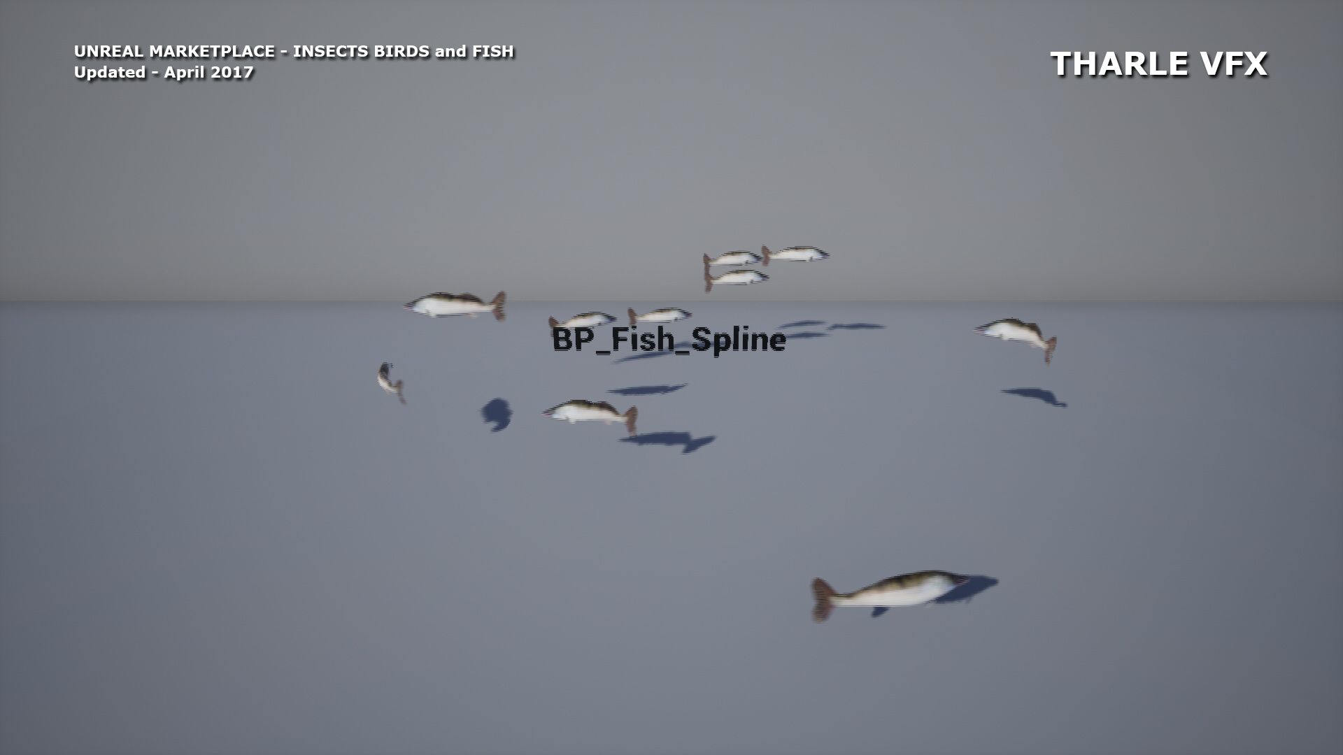 Insect Birds and Fish FX 虚幻4 UE4 蝴蝶 鱼 鸟 昆虫 轨迹飞行插图1