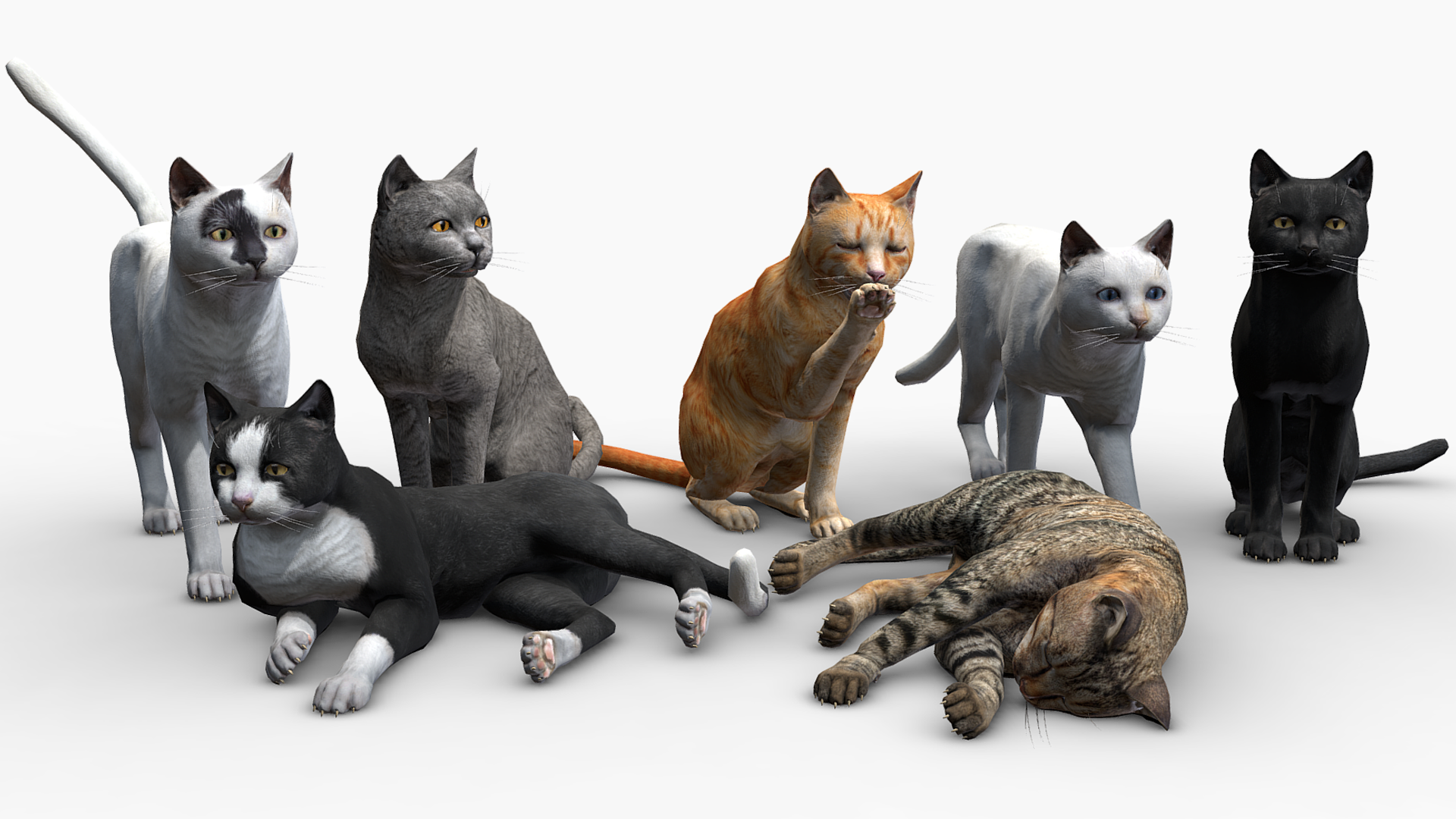 宠物猫咪3D动物游戏角色含动画 虚幻4 ue4 Cats Big Pack