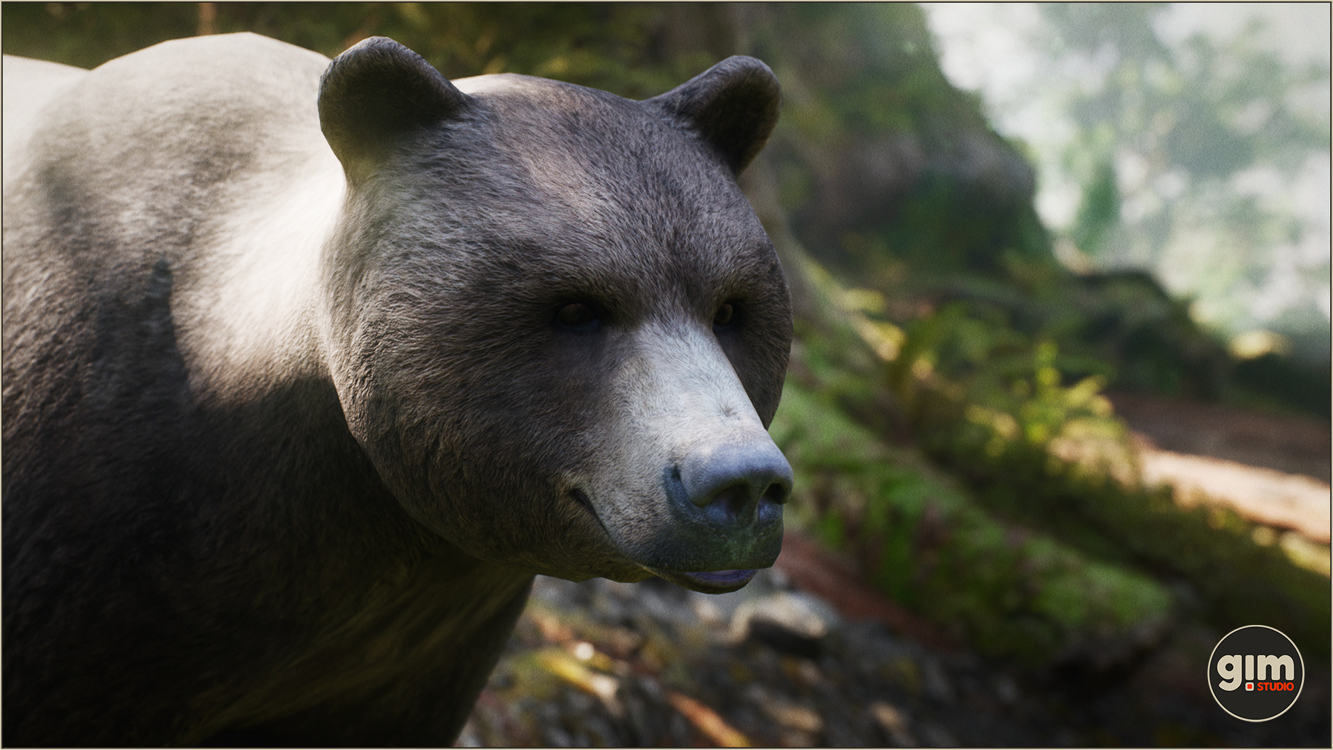 黑熊动物游戏角色含动画 虚幻4 ue4 Animalia Brown Bear male