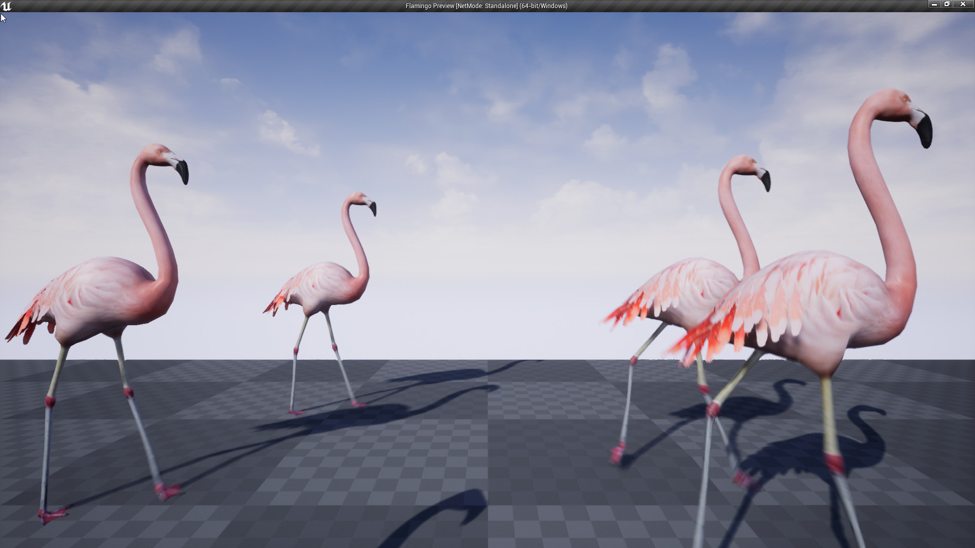 火烈鸟鸟类禽类动物游戏角色含动画 虚幻4 ue4 Flamingo Animated