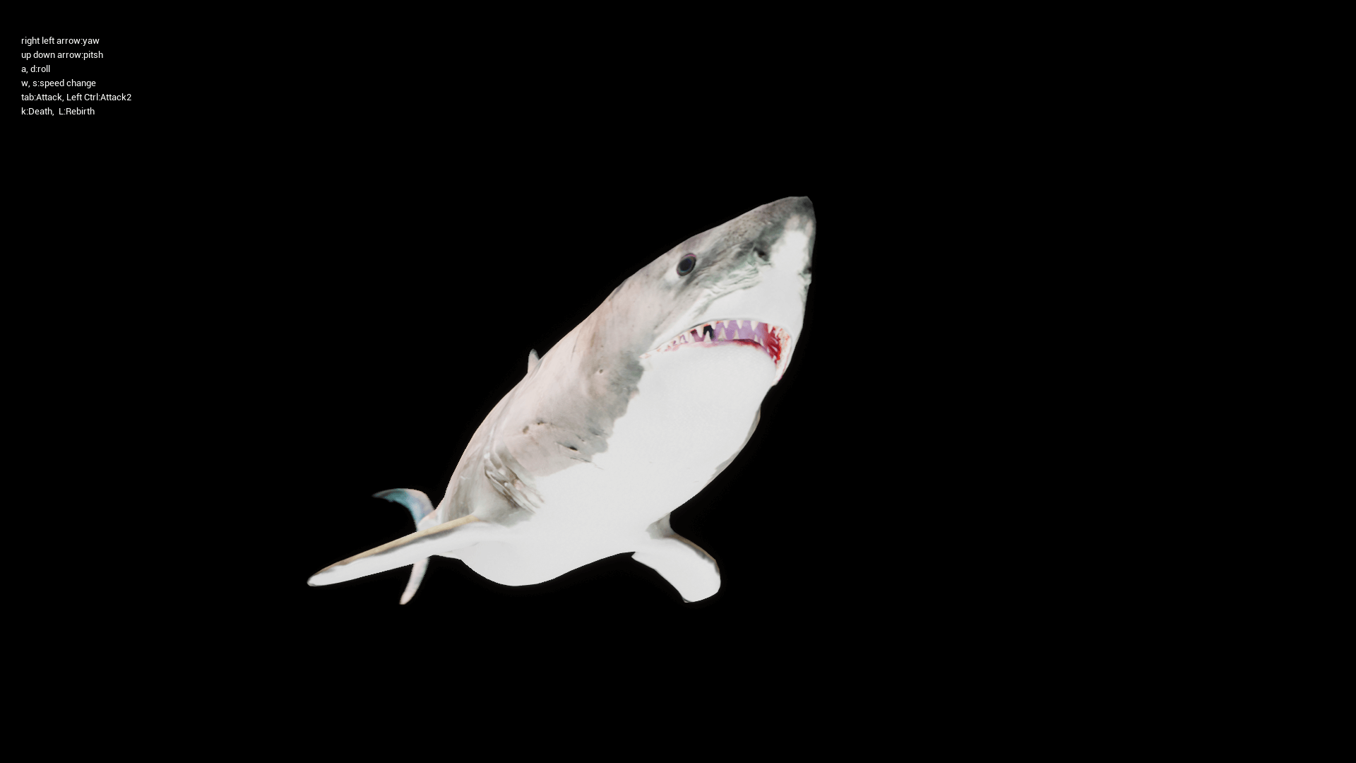 大白鲨 鲨鱼 捕食者 角色 动画 虚幻4 UE4 Great White Shark插图3