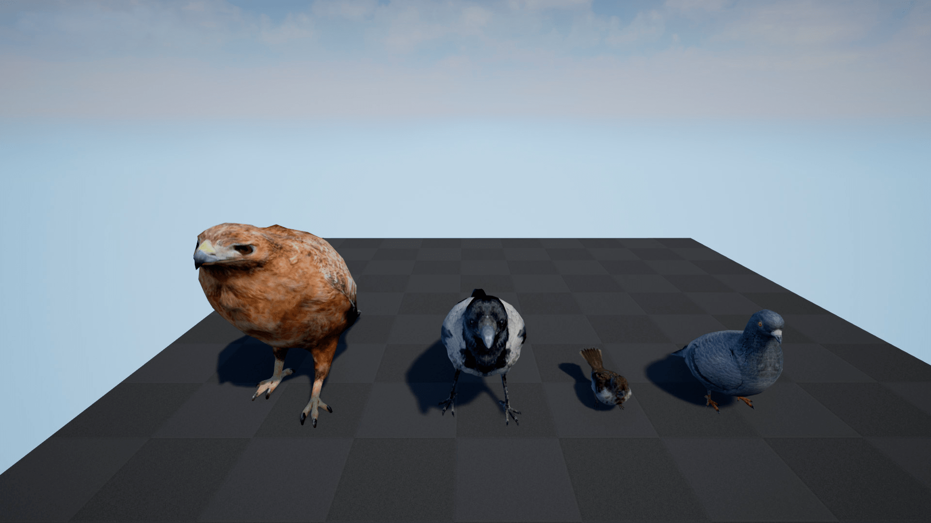 麻雀鸽子老鹰乌鸦鸟类动物游戏角色含动画 虚幻4 ue4 Bird Band