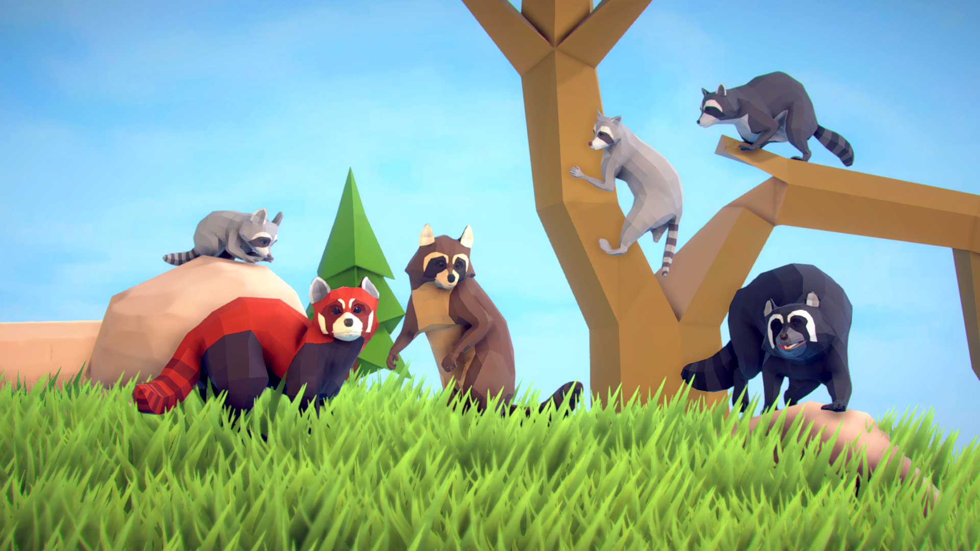 卡通低模浣熊动物游戏角色含动画 虚幻4 ue4 Poly Art Raccoons