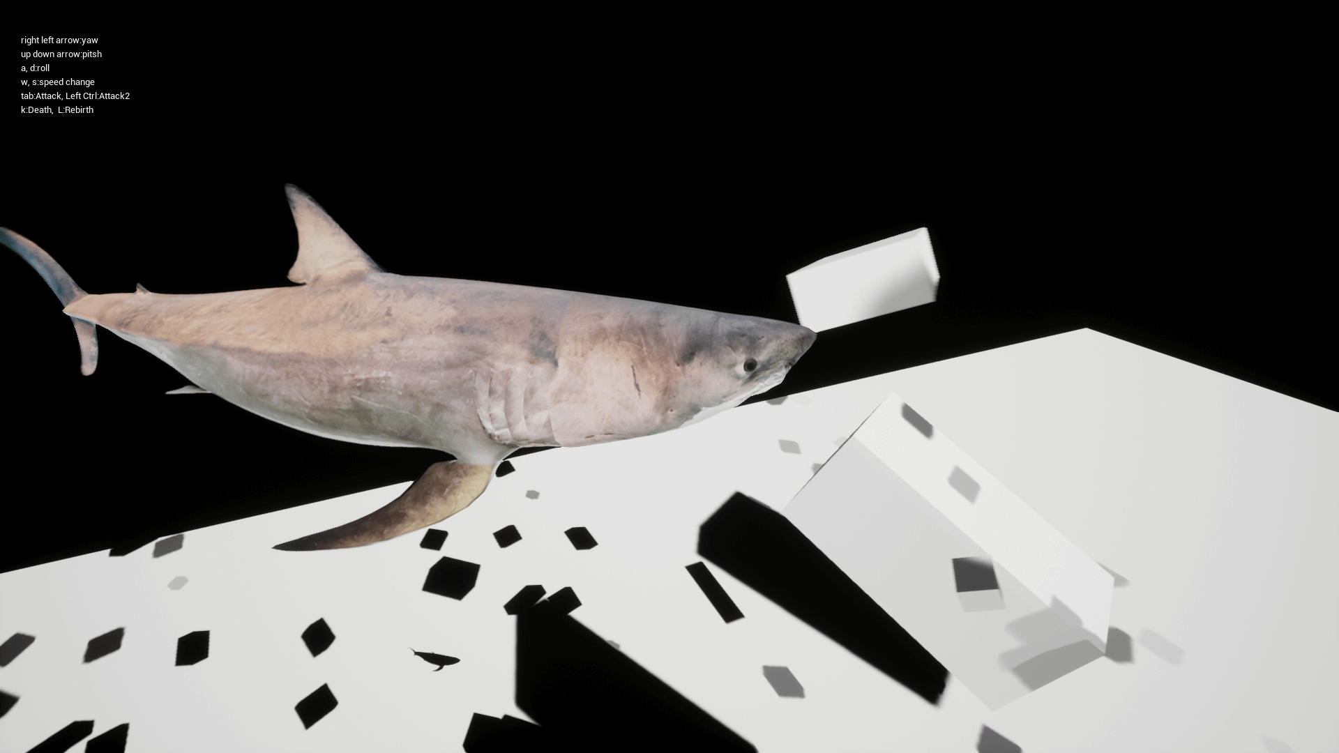 大白鲨 鲨鱼 捕食者 角色 动画 虚幻4 UE4 Great White Shark