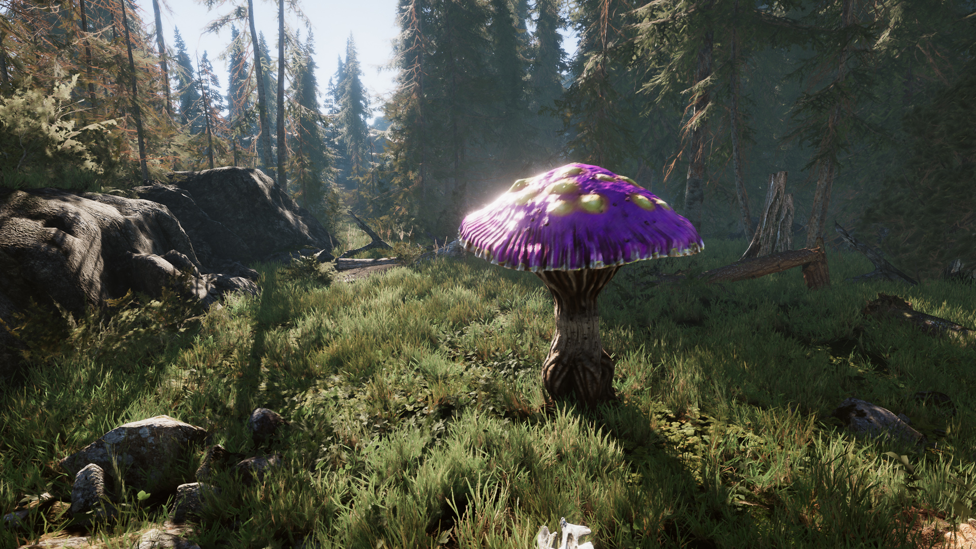 蘑菇怪物游戏角色含动画 虚幻4 ue4 Mushroom Monster Pack PBR插图1