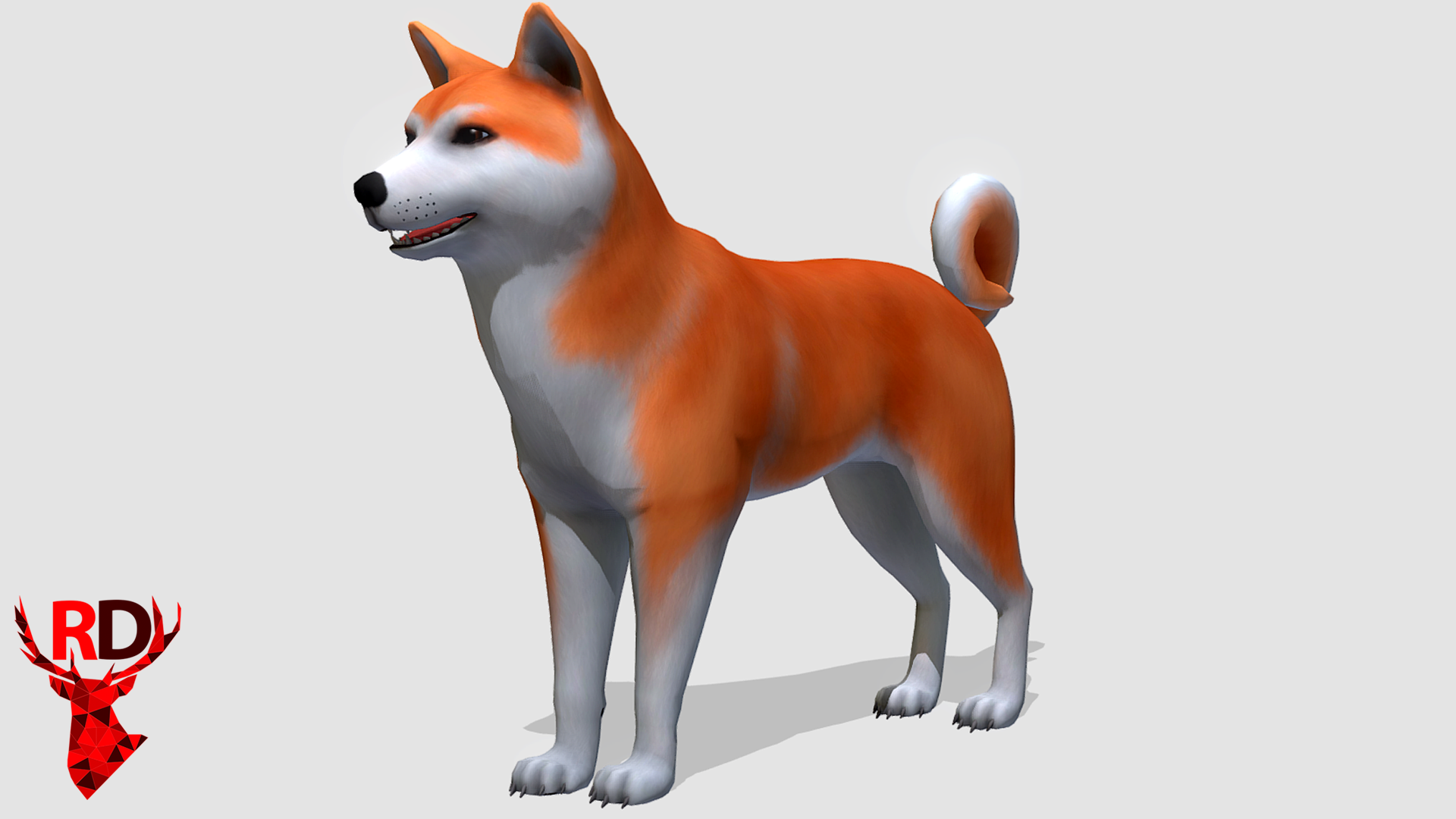 秋田犬 柴犬 宠物犬 狗 角色 动画 虚幻4 UE4 Akita Inu