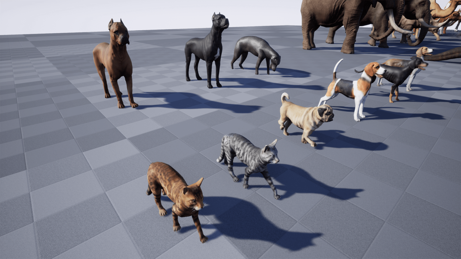 猫 狗 象 马动物 合集 角色 动画 虚幻4 UE4 Animal Pack Ultra 2插图2