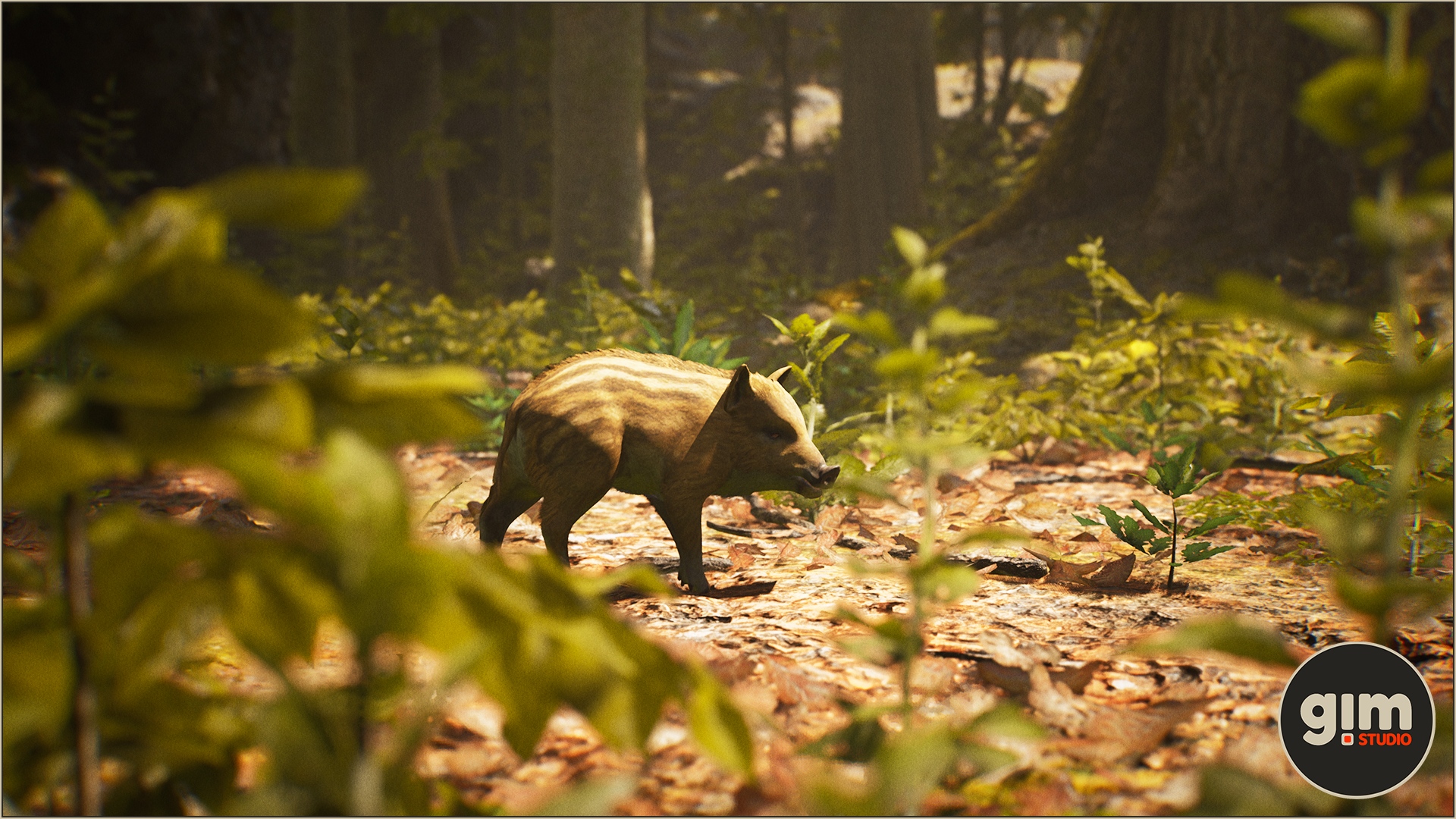 年幼野猪动物角色含动画 虚幻4 ue4 Animalia – Wild Boar young插图1