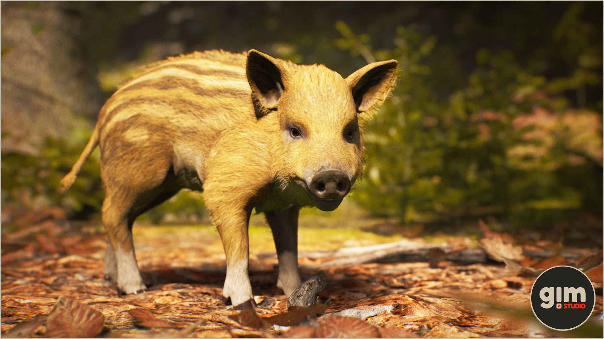 年幼野猪动物角色含动画 虚幻4 ue4 Animalia - Wild Boar young