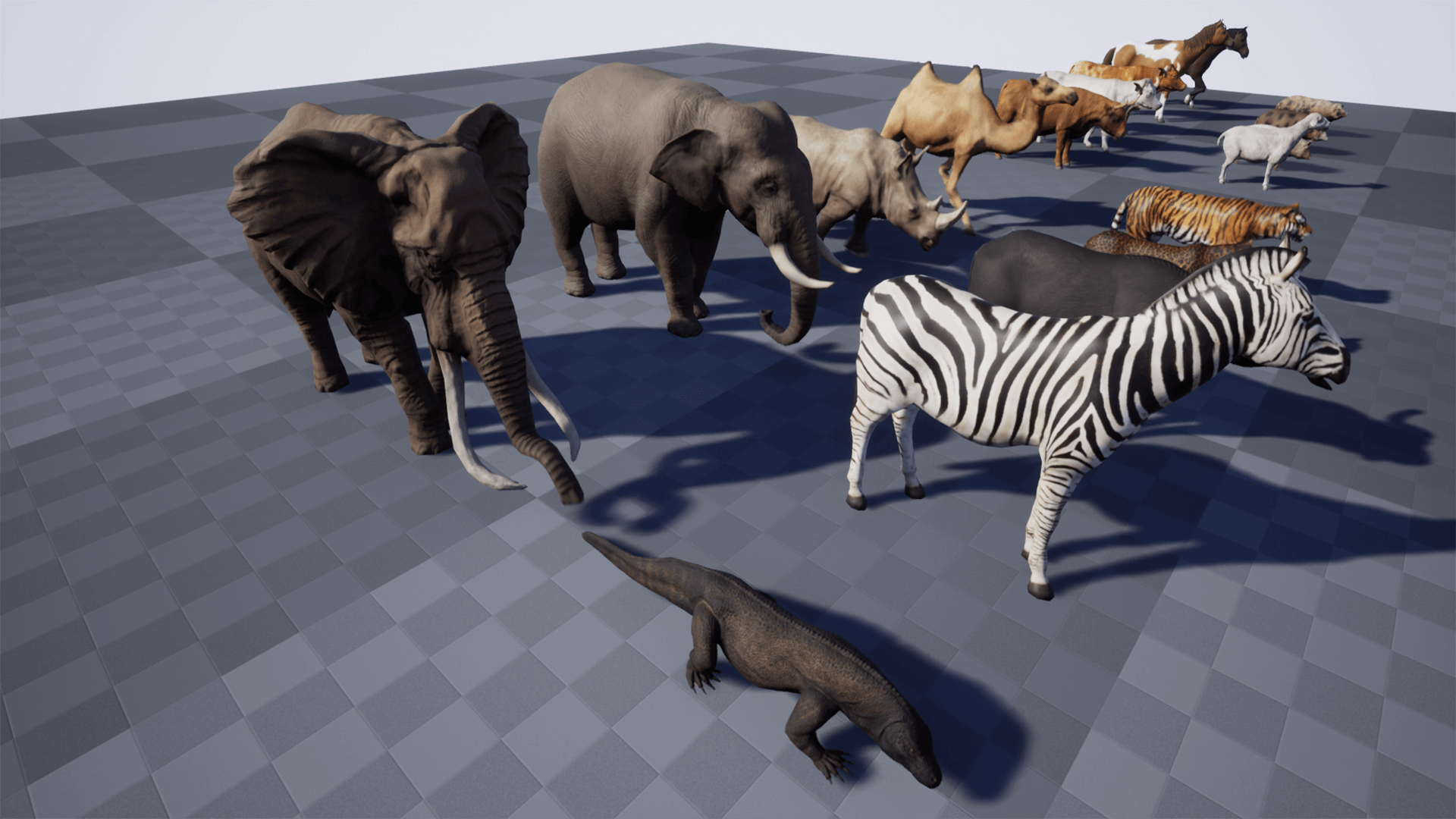 猫 狗 象 马动物 合集 角色 动画 虚幻4 UE4 Animal Pack Ultra 2插图3