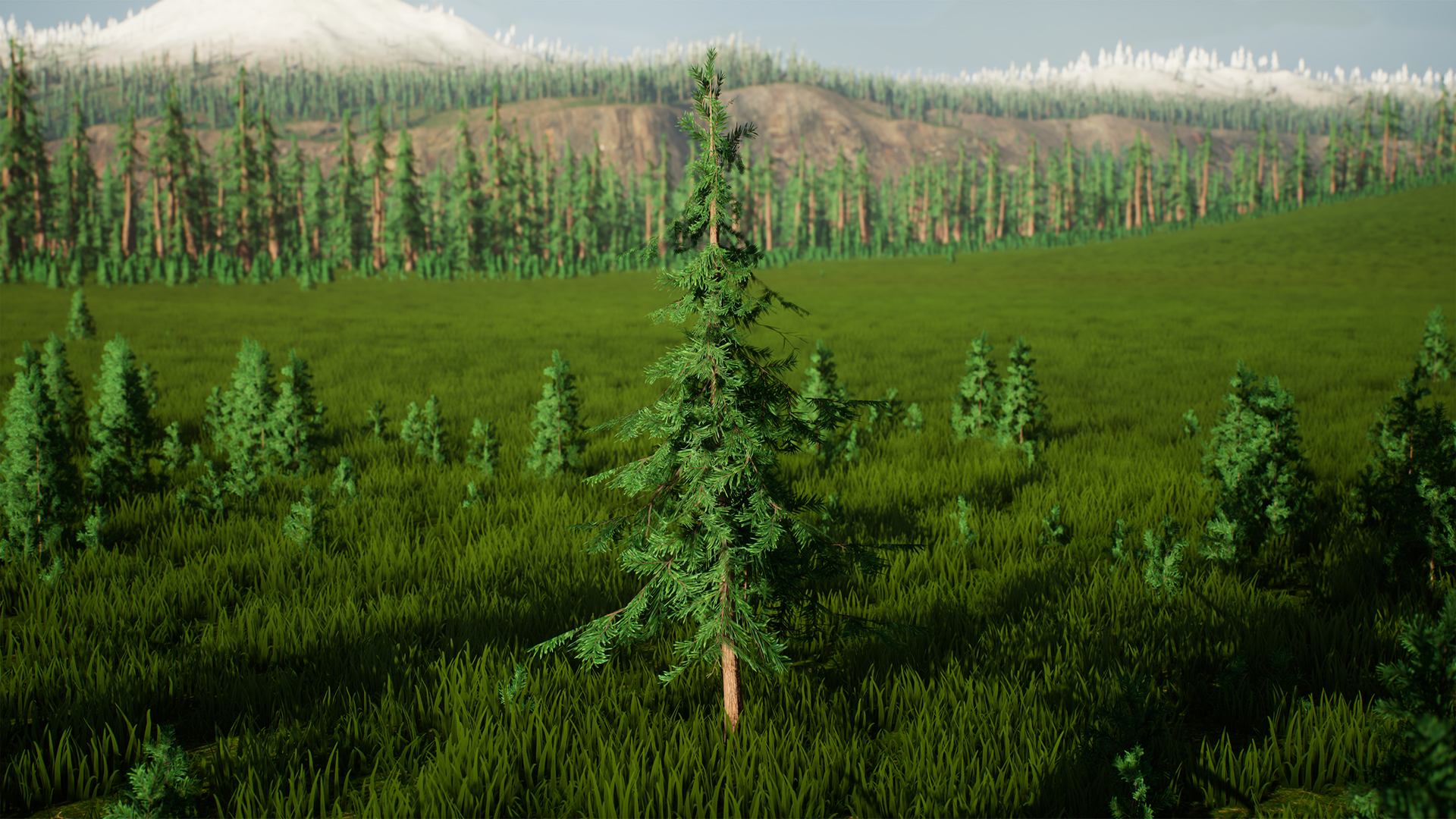 程序化松树覆雪风力模拟模型 虚幻4 ue4 Stylized Trees Pack 2插图2