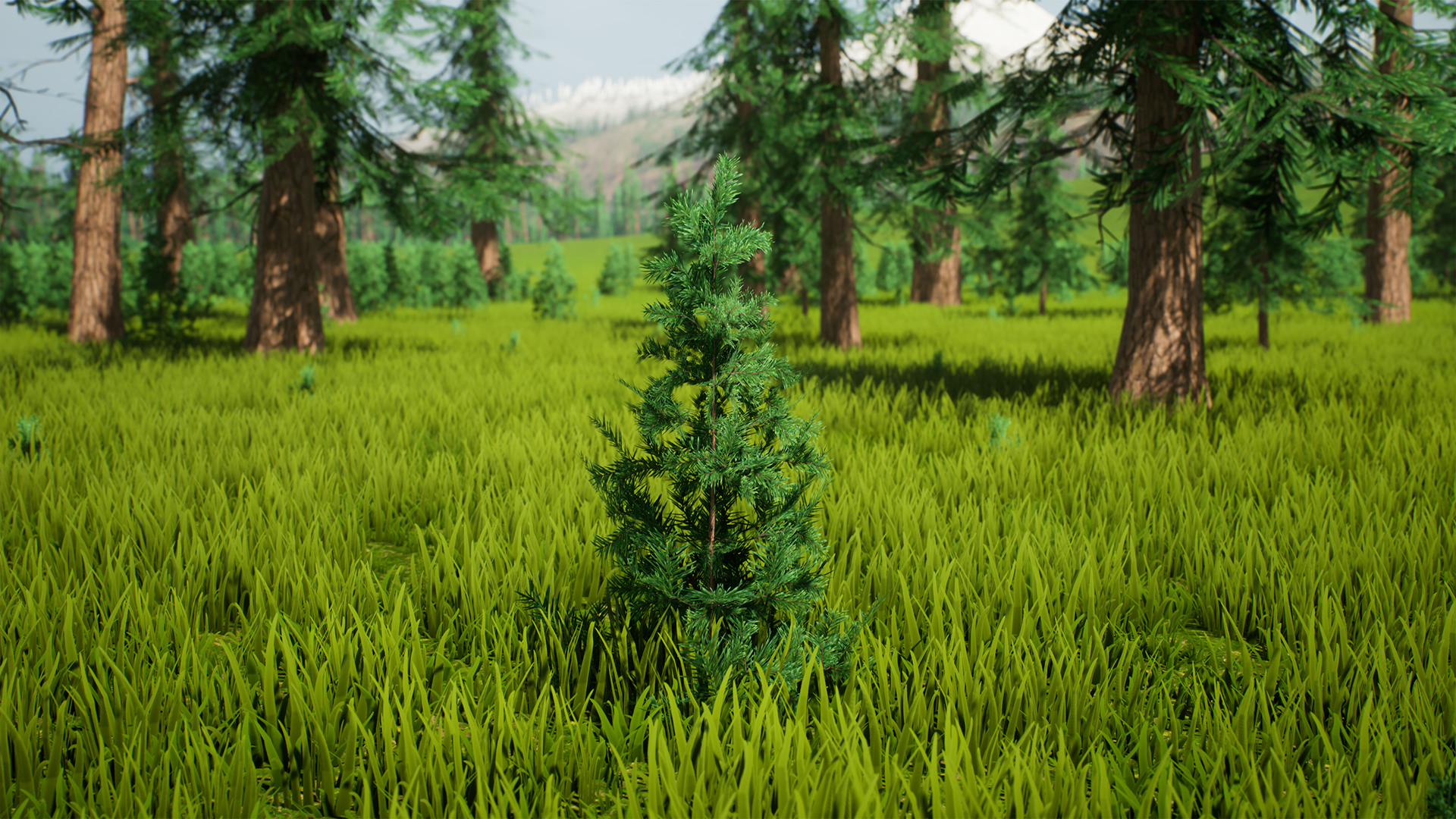 程序化松树覆雪风力模拟模型 虚幻4 ue4 Stylized Trees Pack 2插图3