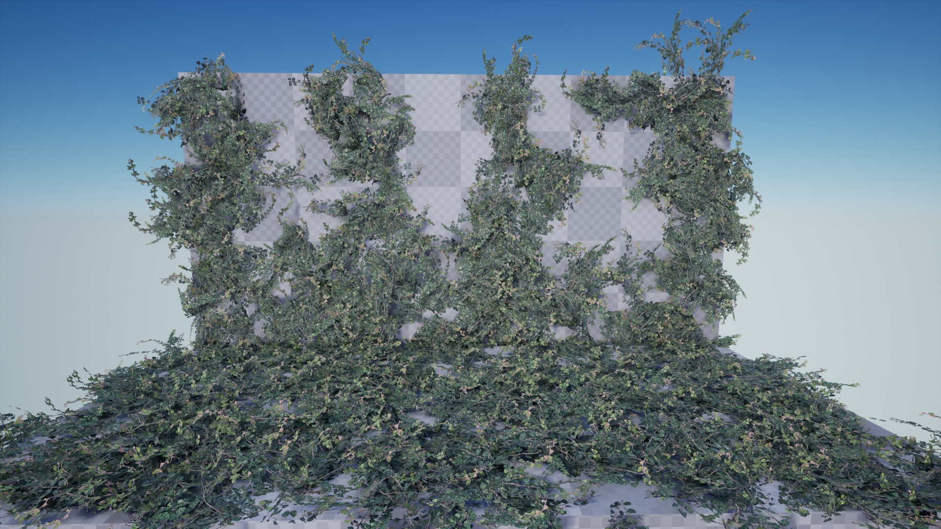 Ivy Foliage Pack 4K 虚幻4 UE4 高清 藤曼 植物 素材包插图3